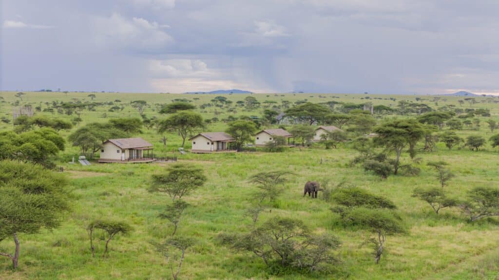 Serengeti Sametu Camp — foto galleria 3
