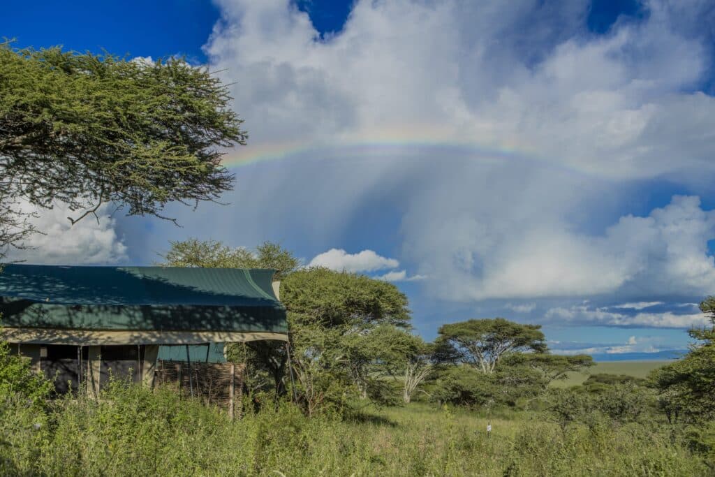 Serengeti Woodlands Camp — foto galleria 2