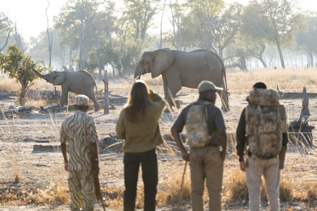 Shawa Luangwa Camp — galleria 6