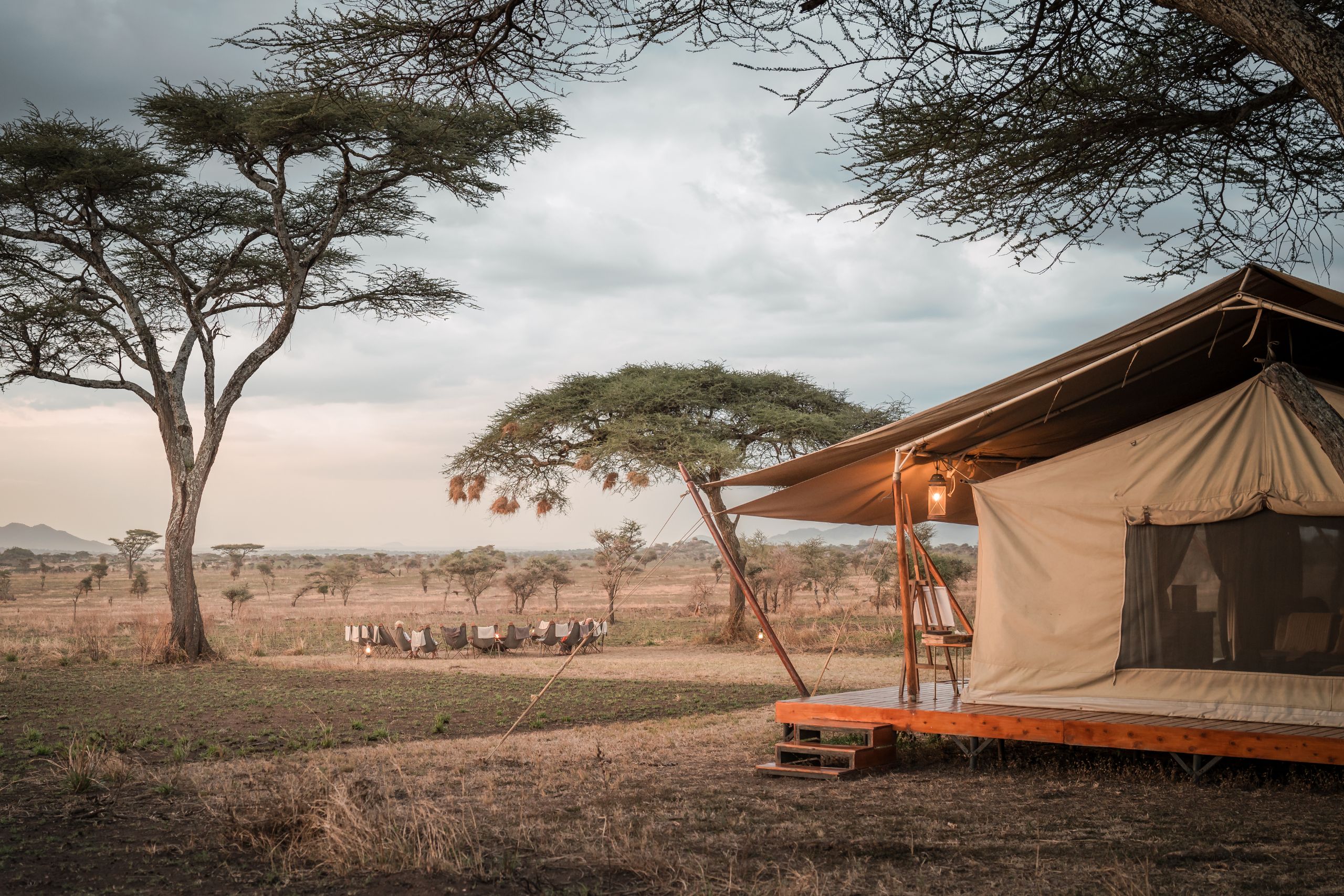 Siringit Serengeti Camp — foto principale