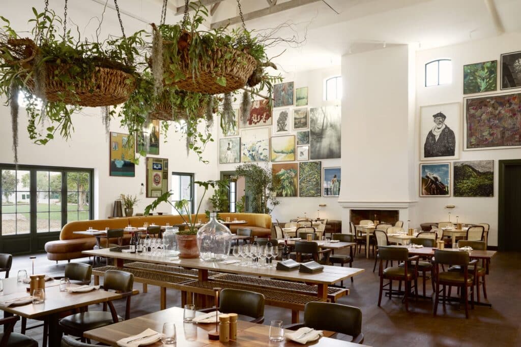 Spier — foto galleria 4