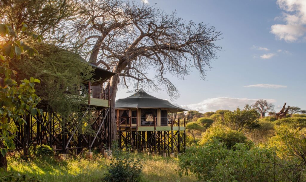 Tarangire Kuro Treetops Lodge — foto galleria 4