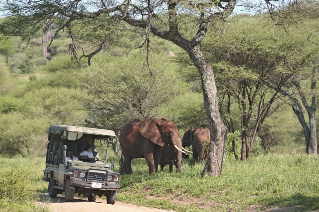 Tarangire Ndovu Tented Lodge — foto galleria 1