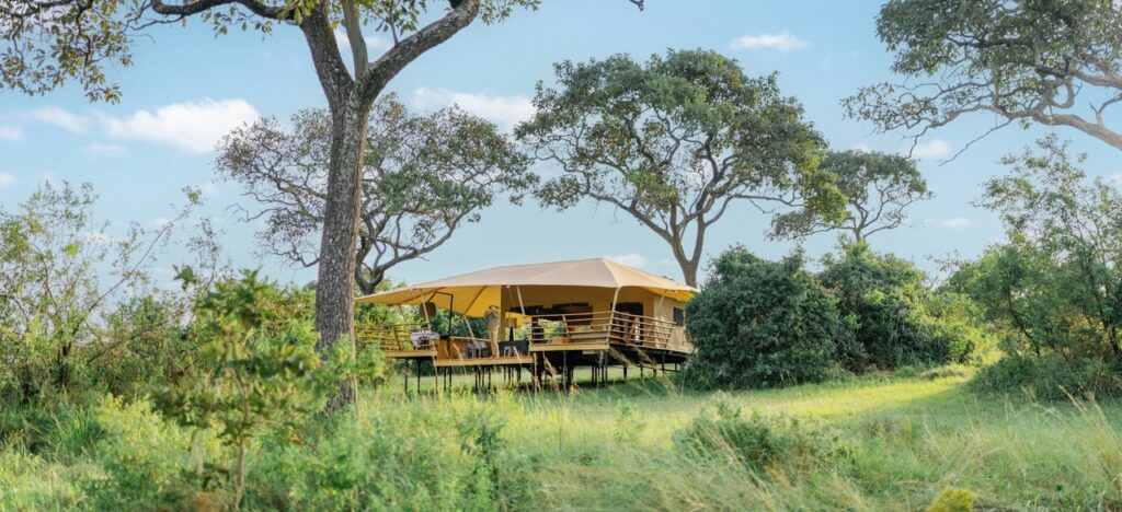 Serengeti Bushtops — foto galleria 8