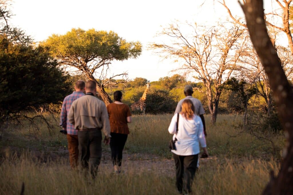 Group of people walking through a grassy savannah with a giraffe visible in the distance among trees.