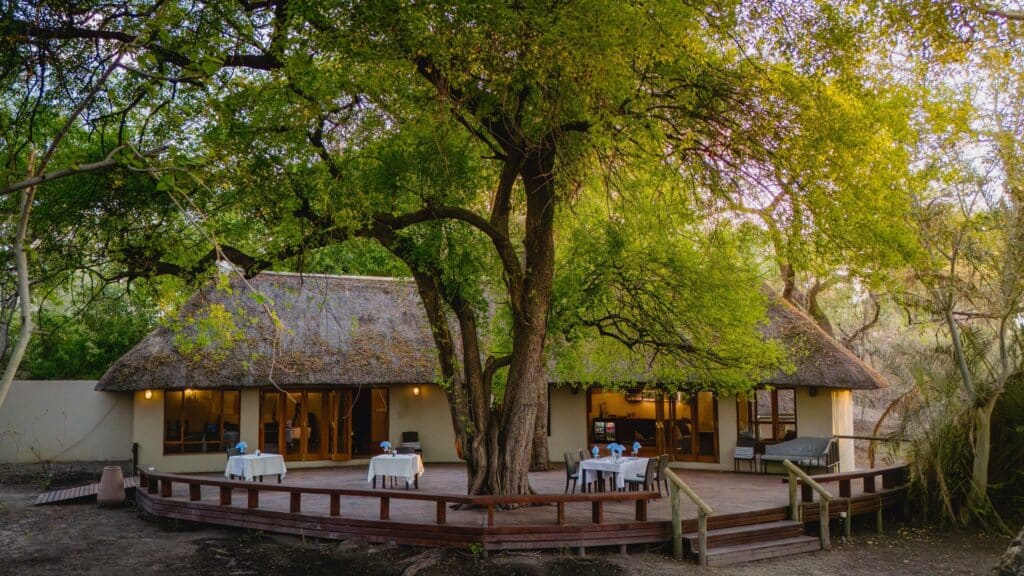 Outdoor dining area under a large tree with a thatched roof restaurant facade and tables set with white tablecloths under soft lights appears inviting.