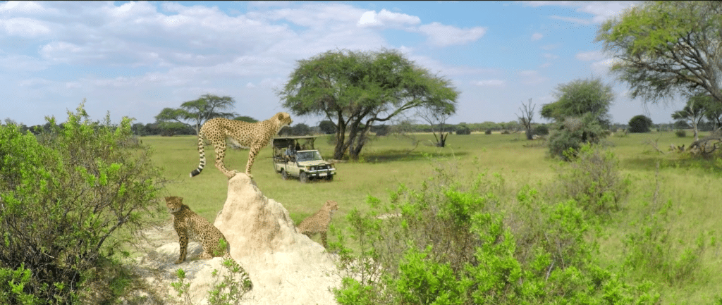 The Hide Safari Camp — sezione atmosphere