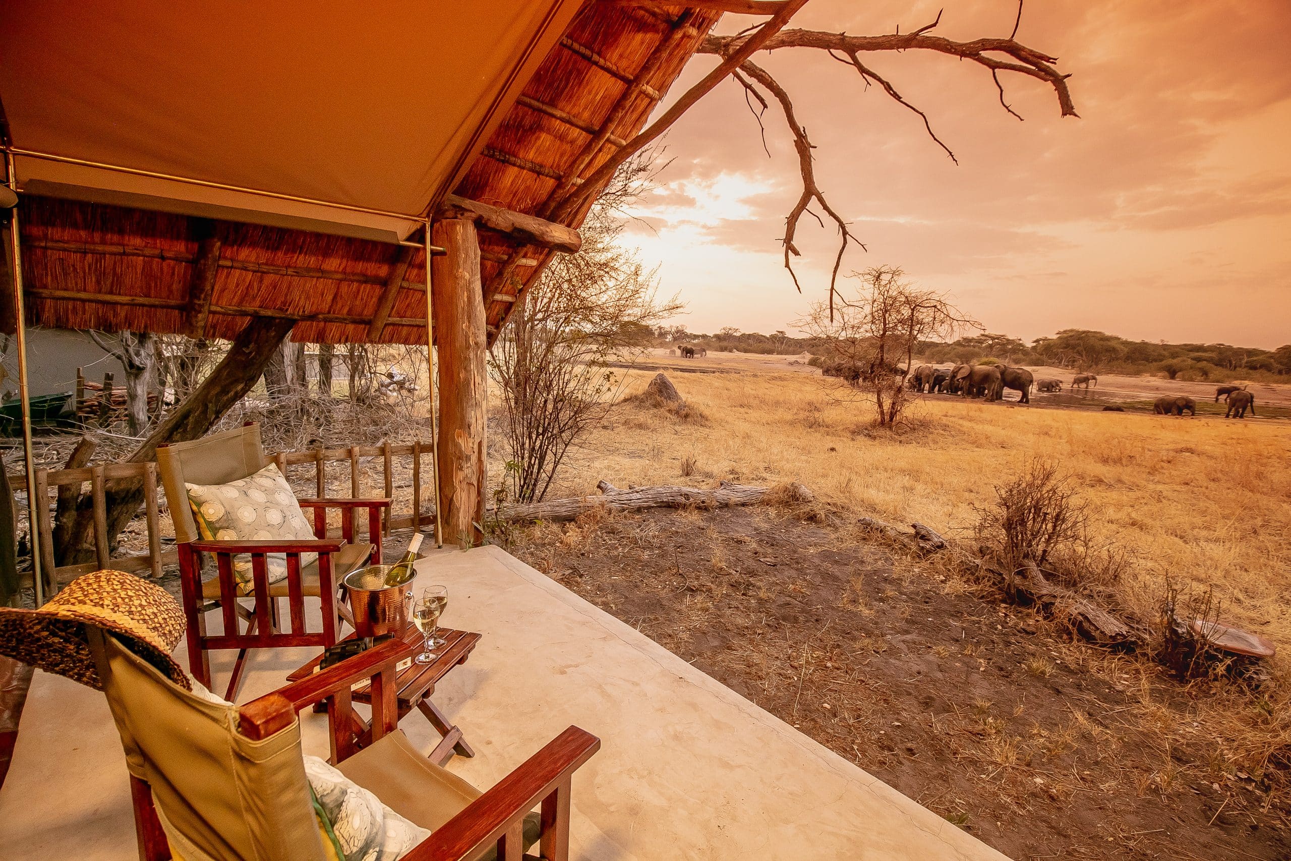 The Hide Safari Camp — foto galleria 2