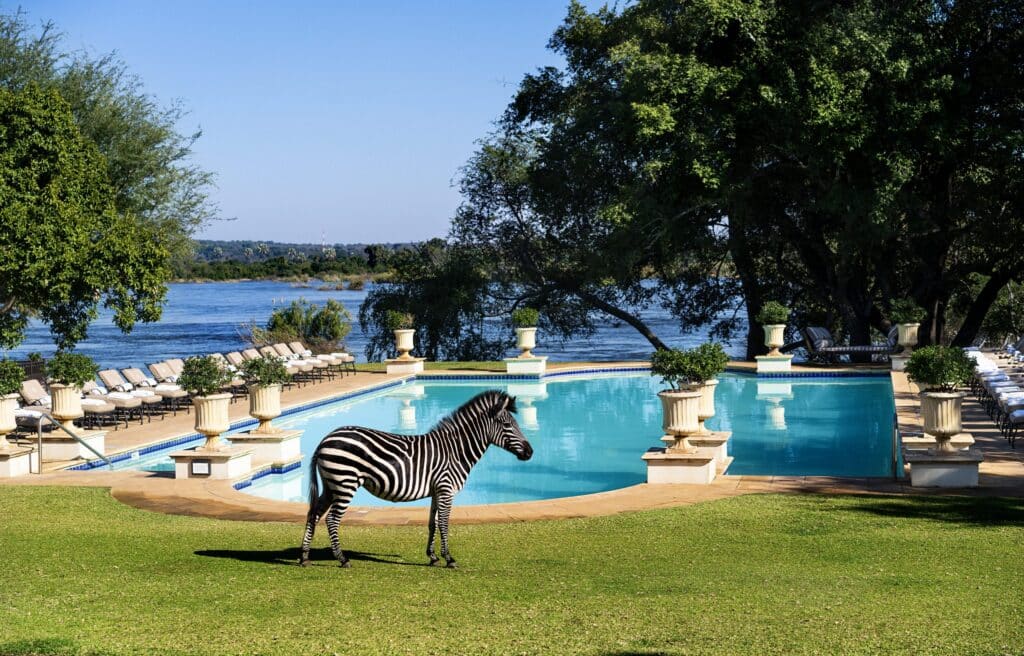 The Royal Livingstone Hotel — foto galleria 3
