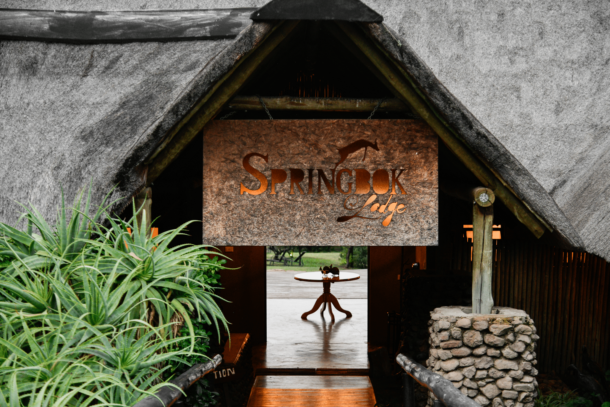 Springbok Lodge — foto principale