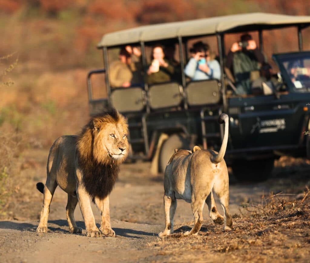 Springbok Lodge — foto galleria 2