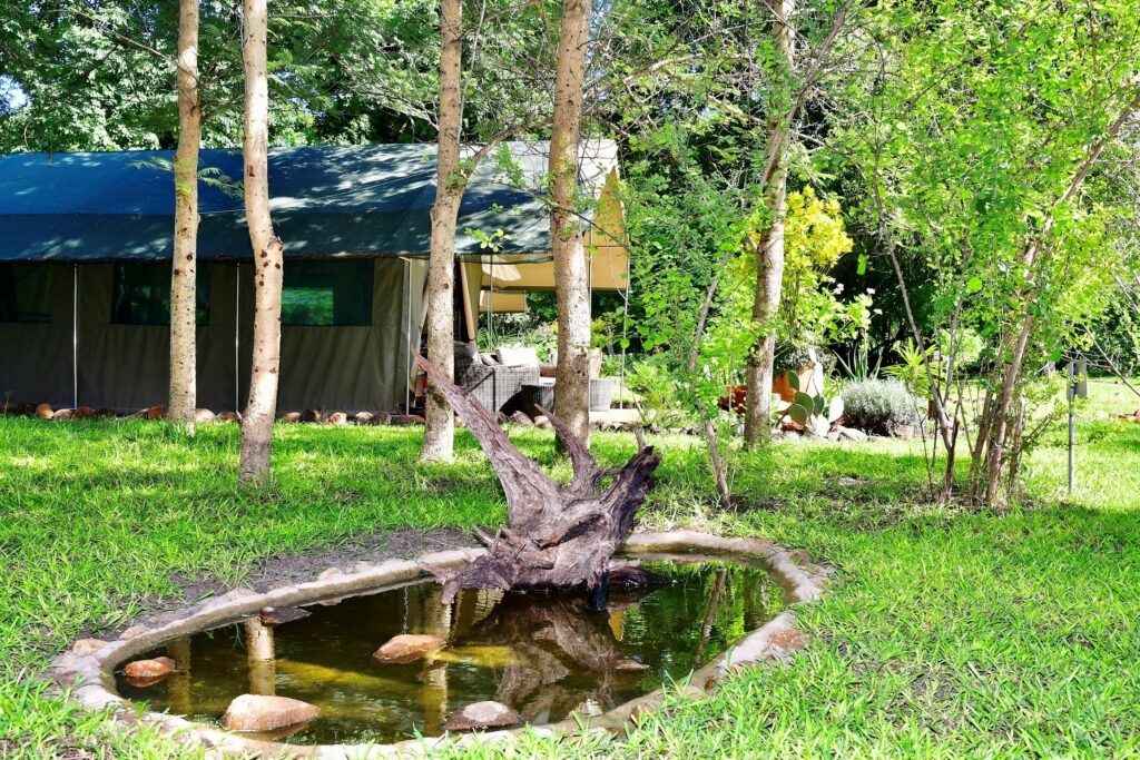 The Woodlands at Waterberry Zambezi Lodge — foto galleria 1