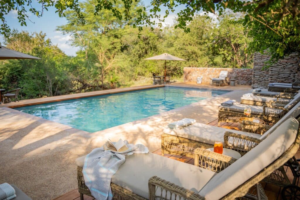 Thornybush Game Lodge — foto galleria 4