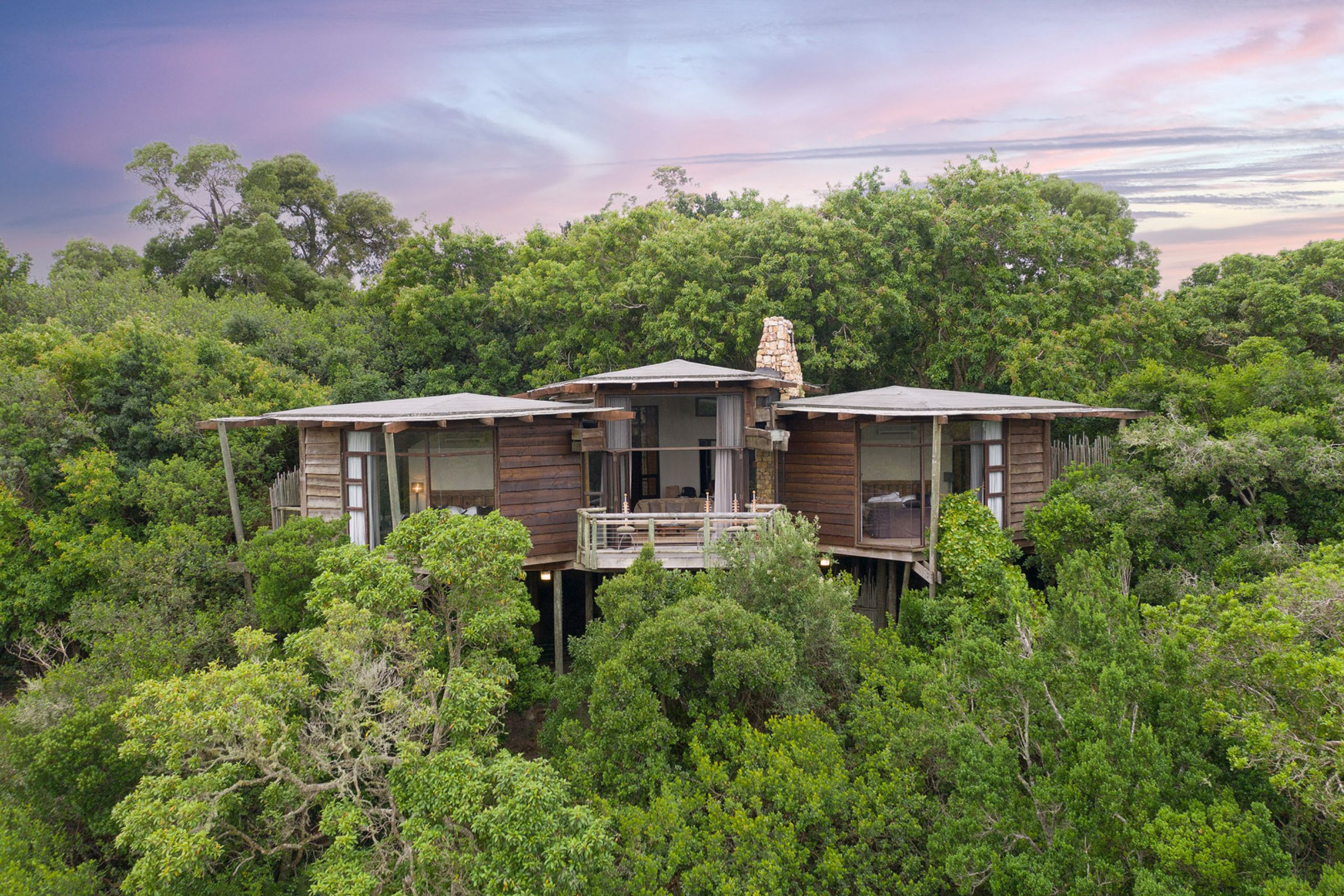 Tsala Treetop Lodge — foto principale
