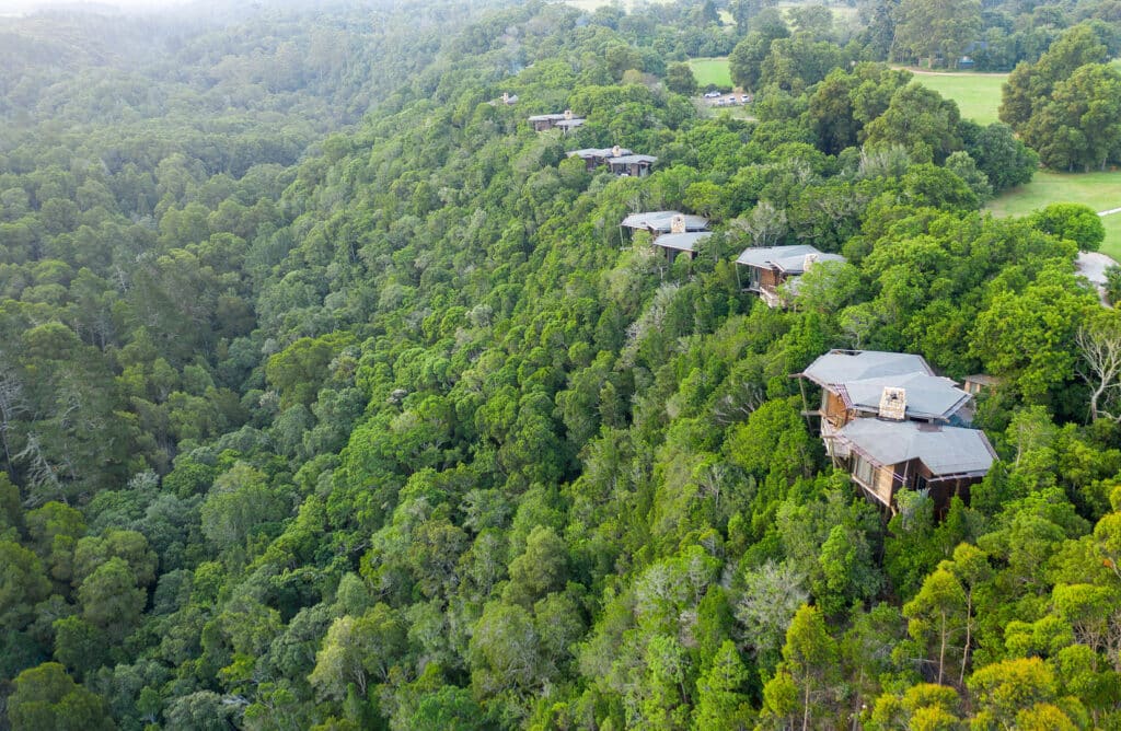 Tsala Treetop Lodge — foto galleria 1