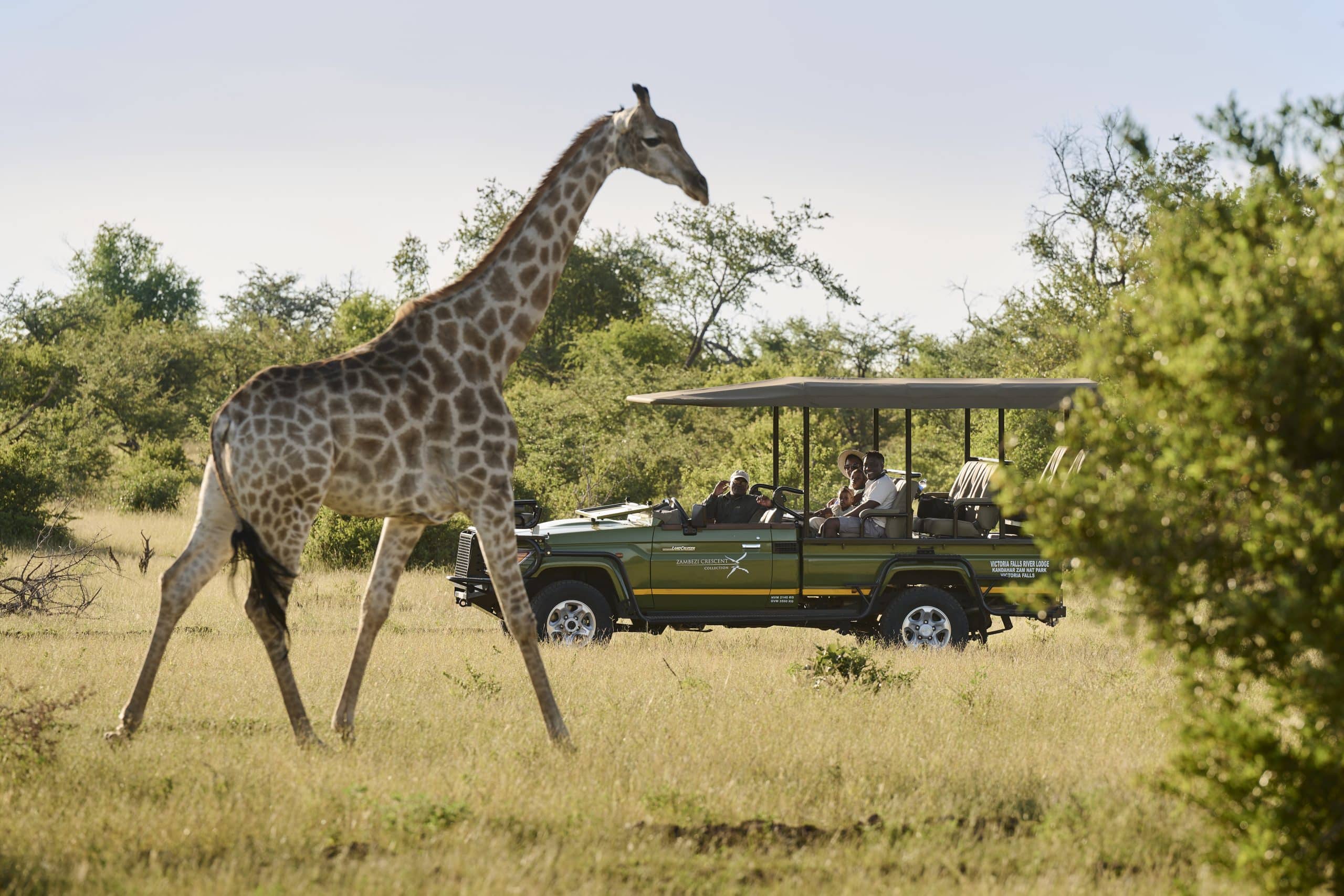 Victoria Falls River Lodge — sezione introduzione