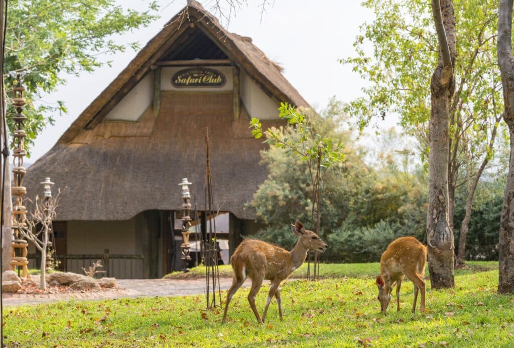 Victoria Falls Safari Club — foto galleria 1