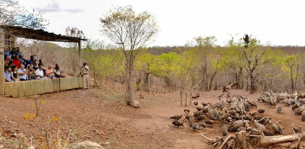 Victoria Falls Safari Lodge — foto galleria 2