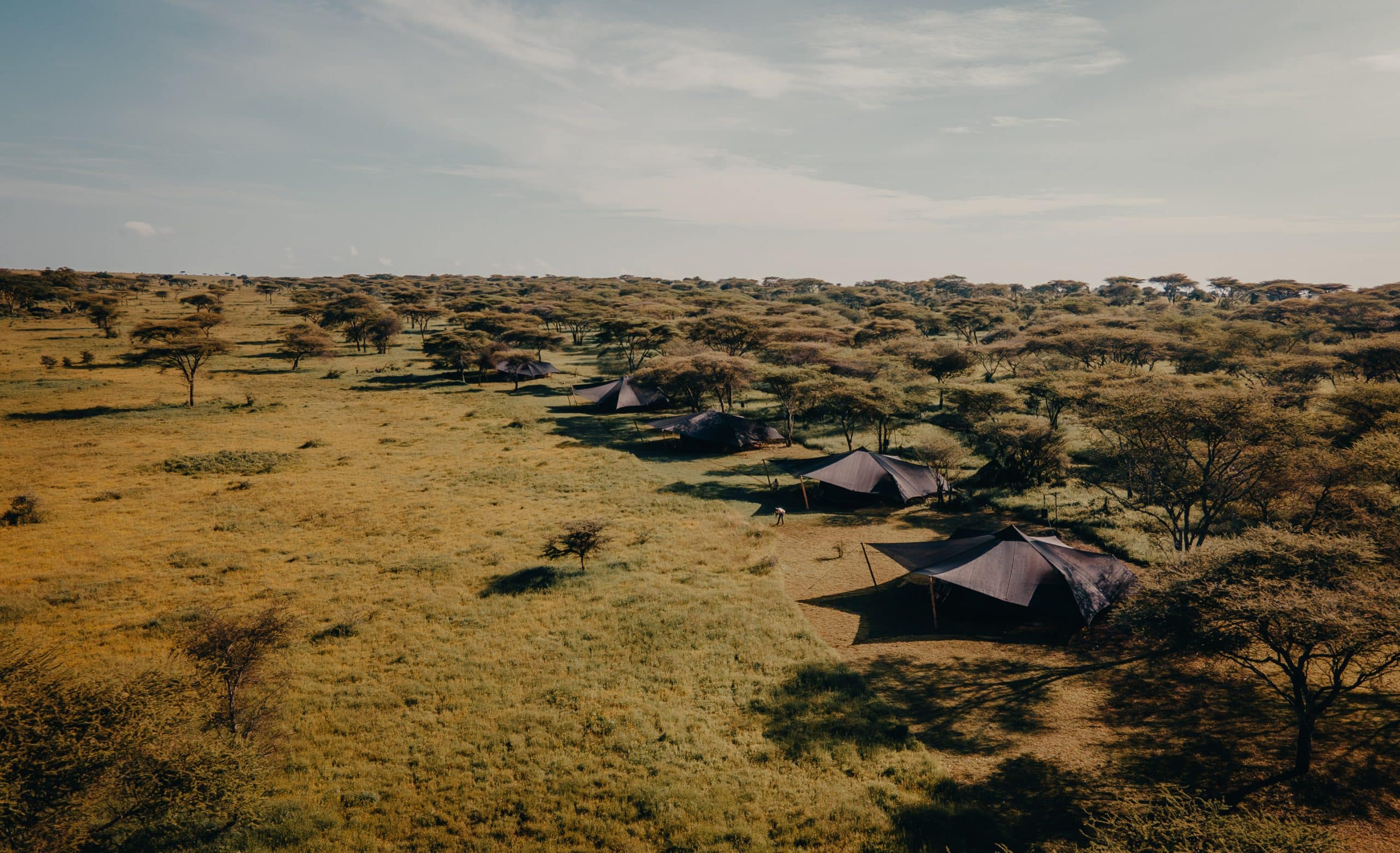 Wayo Serengeti Green Camp — foto principale