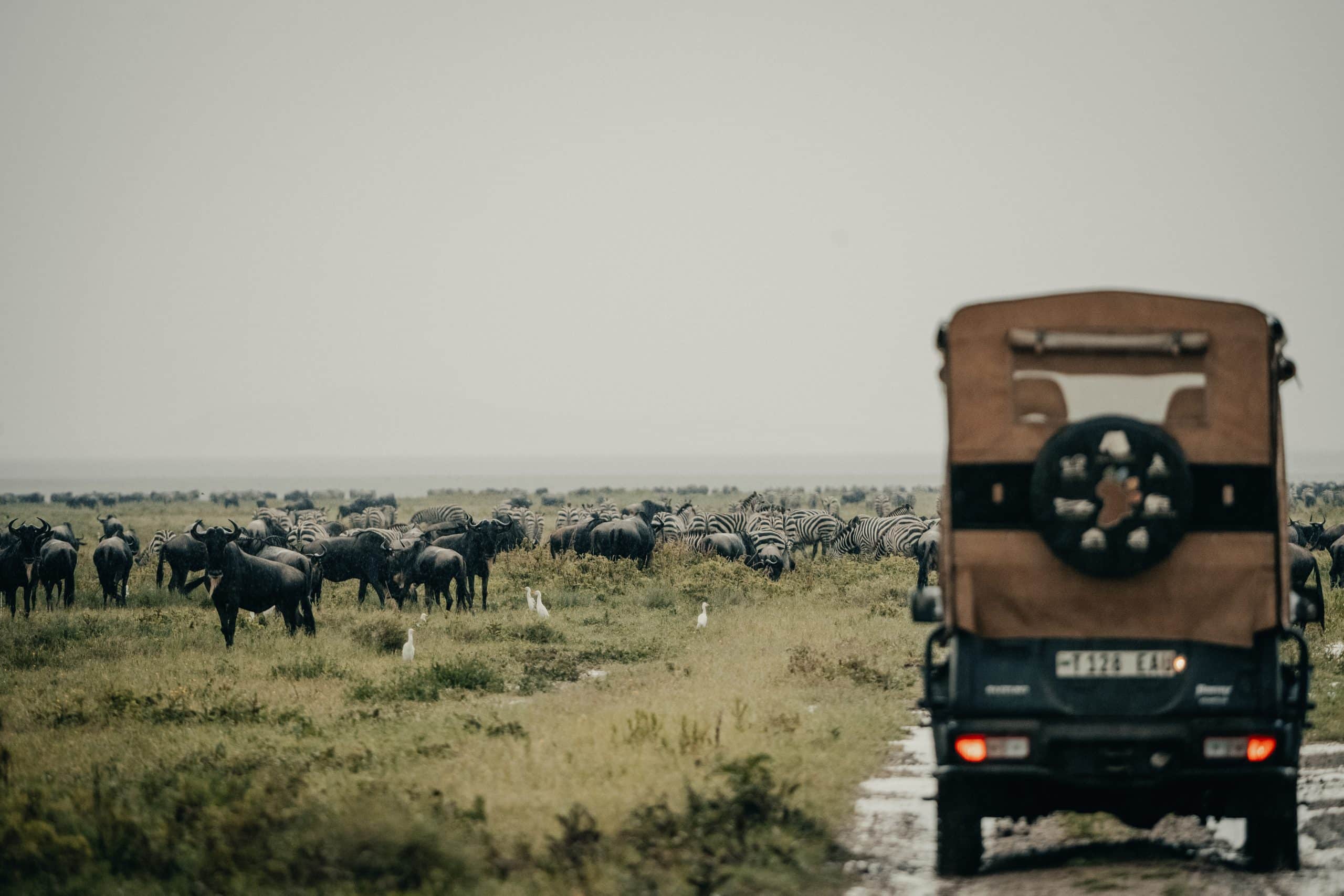 Wayo Serengeti Green Camp — foto galleria 4
