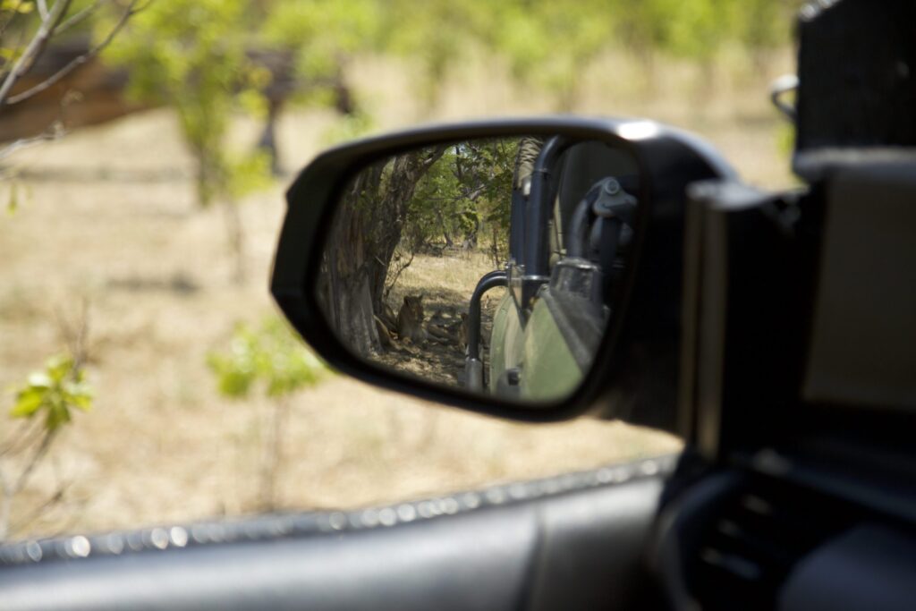 Hwange Bush Camp — foto galleria 3