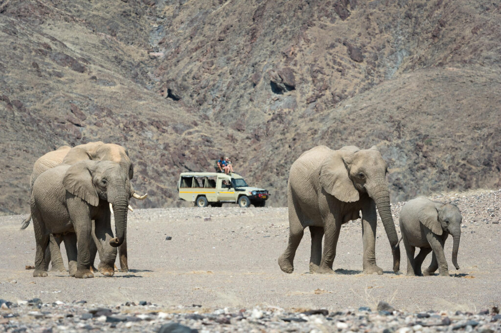 Wilderness Hoanib Skeleton Coast Camp — foto galleria 3