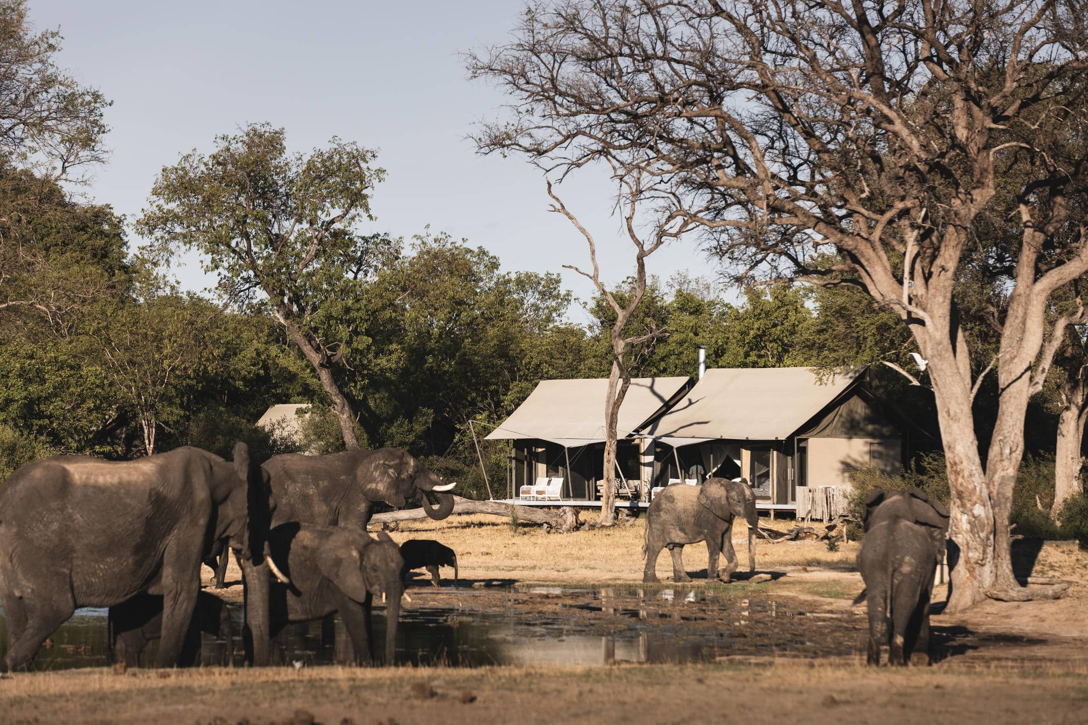 Wilderness Linkwasha — foto principale