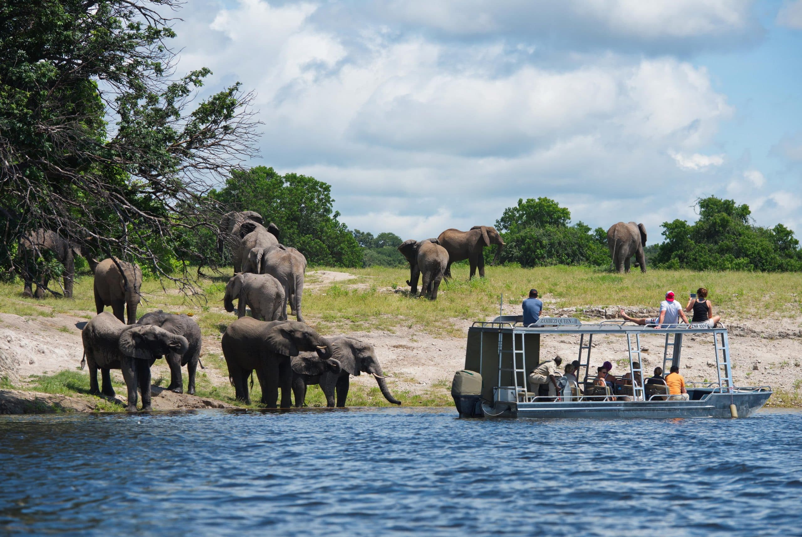 Zambezi Queen — sezione atmosphere