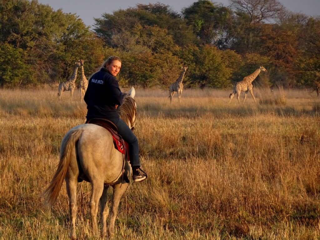 Zambian Horseback Safaris — sezione introduzione