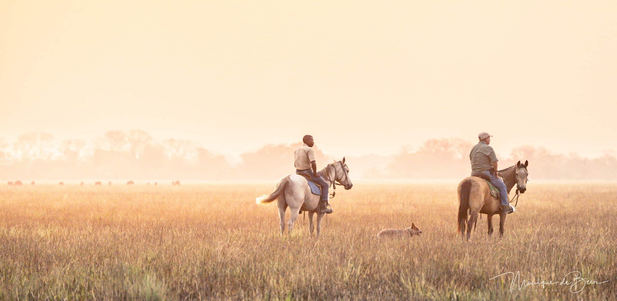 Zambian Horseback Safaris — foto principale
