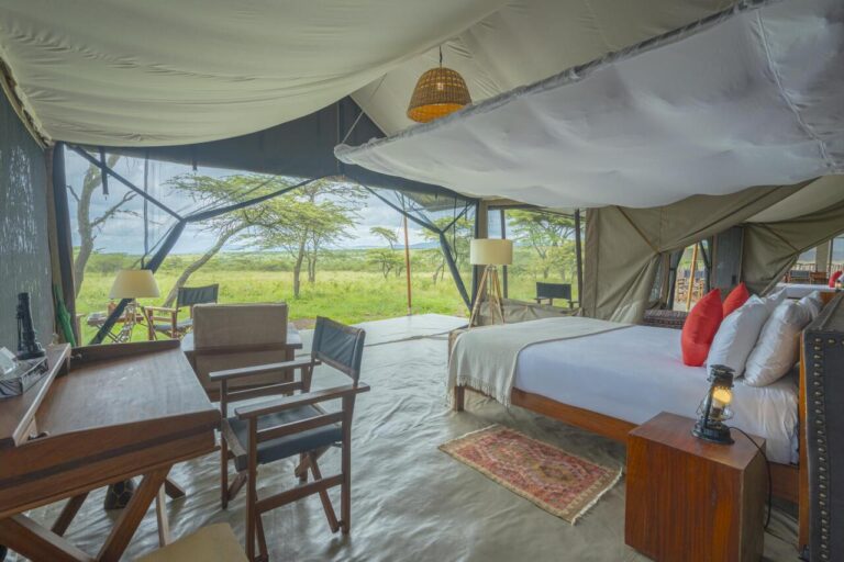 Kandili Camp — foto 5