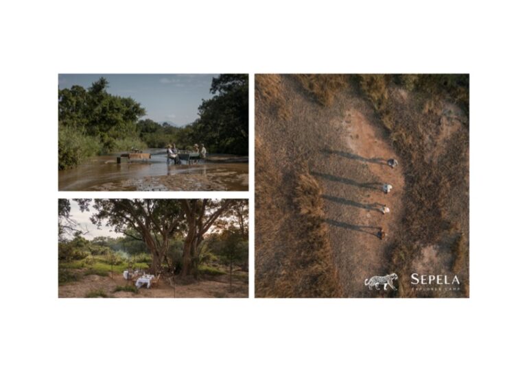 Top-left: people in boats crossing a muddy river in a lush, green setting; bottom-left: outdoor dining setup under a large tree in a sunny clearing; right: aerial view of campers standing in a line on a dirt path with long shadows, Sepela Explorer Camp logo at bottom-right