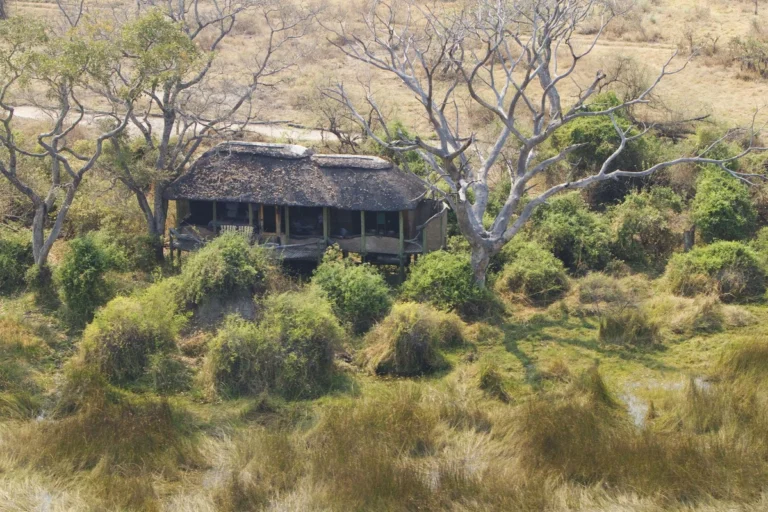 Abandoned thatch-roof hut framed by bare trees in a dry grassy landscape.