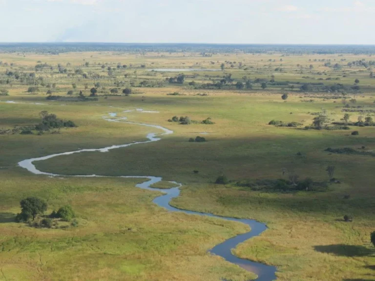 Aerial view of a winding river meandering through a grassy savanna with sparse trees and wide plains under a pale blue sky