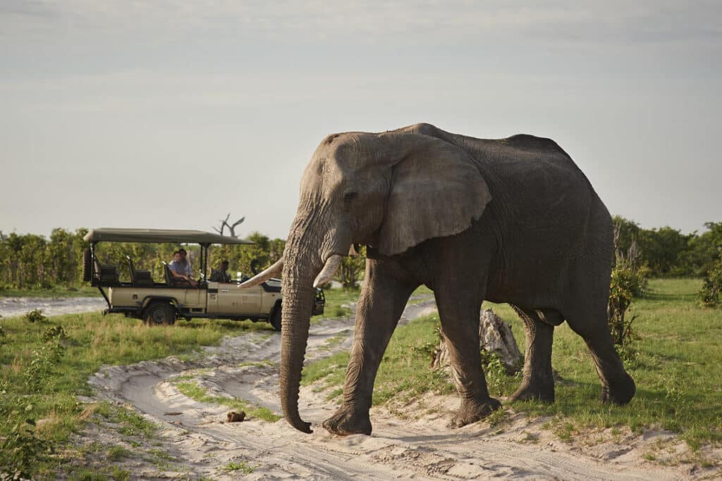 Savute Elephant Lodge Belmond — foto galleria 1