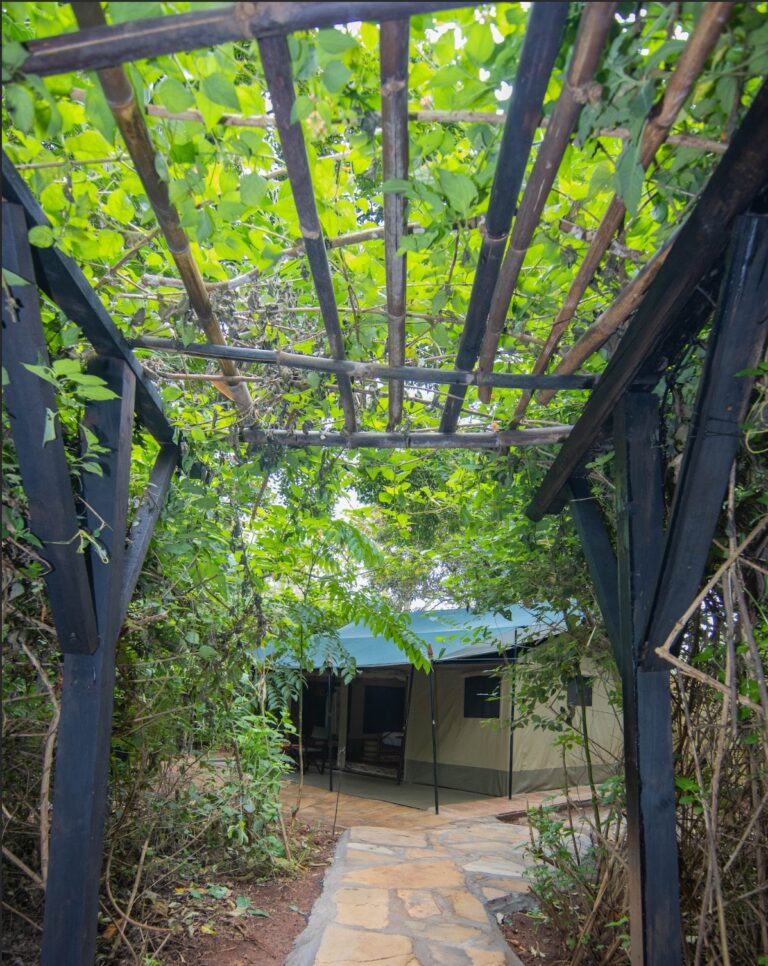 Nairobi Tented Camp — foto 5