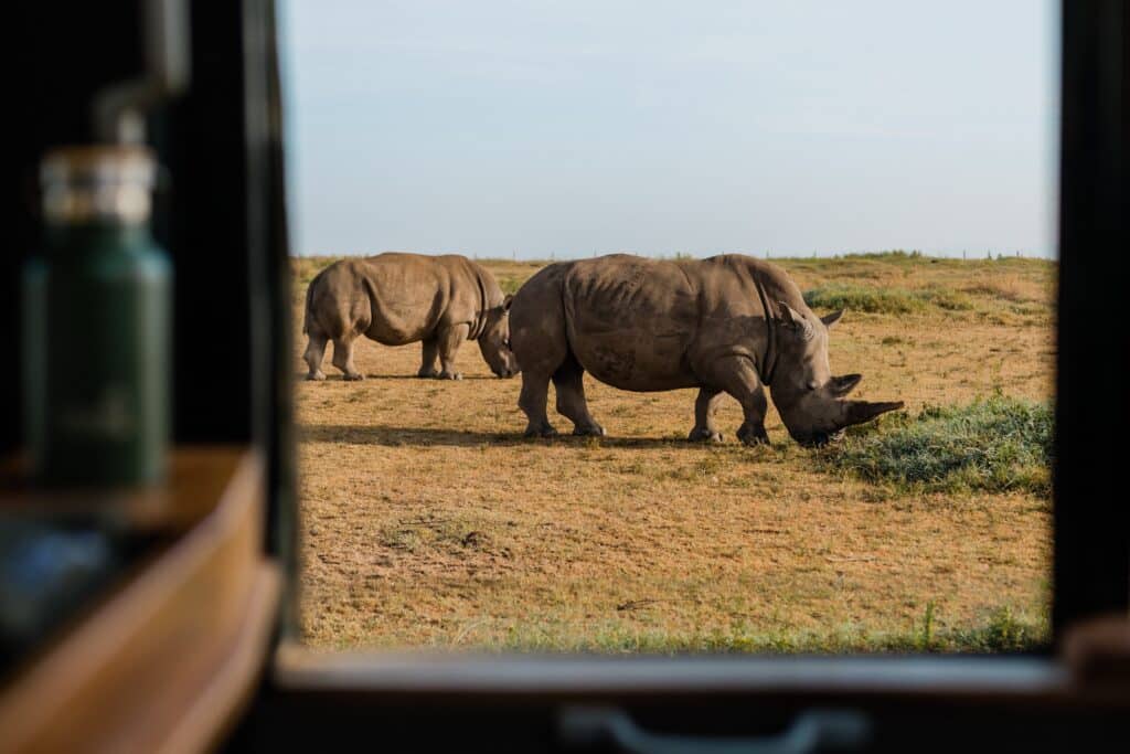 Ol Pejeta Safari Cottages — foto galleria 6
