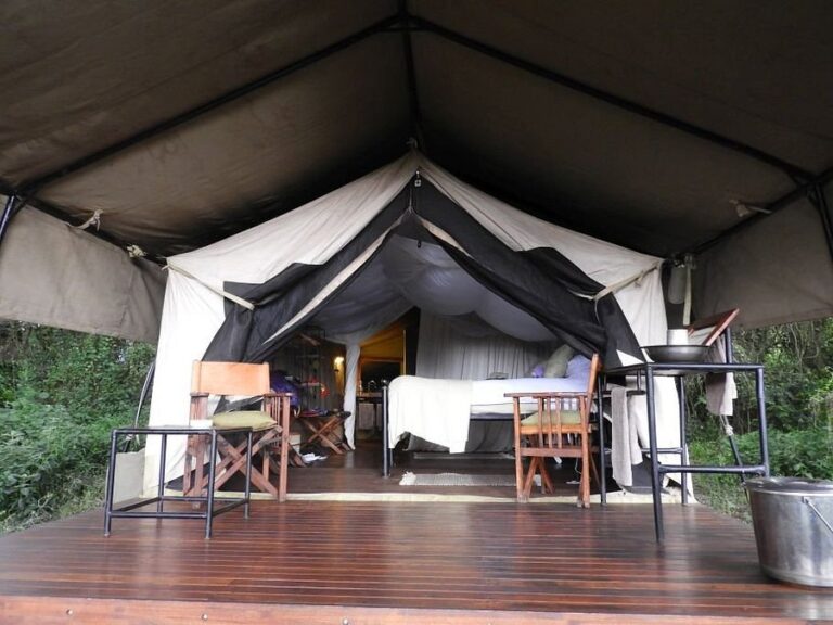 Glamping tent interior with a bed, wooden chairs, and a wooden deck under canvas, surrounded by greenery.