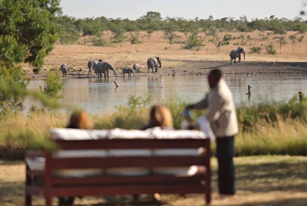 Kicheche Laikipia — foto galleria 8