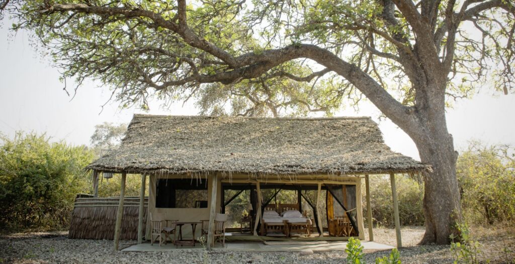 Kigelia Ruaha — foto galleria 7