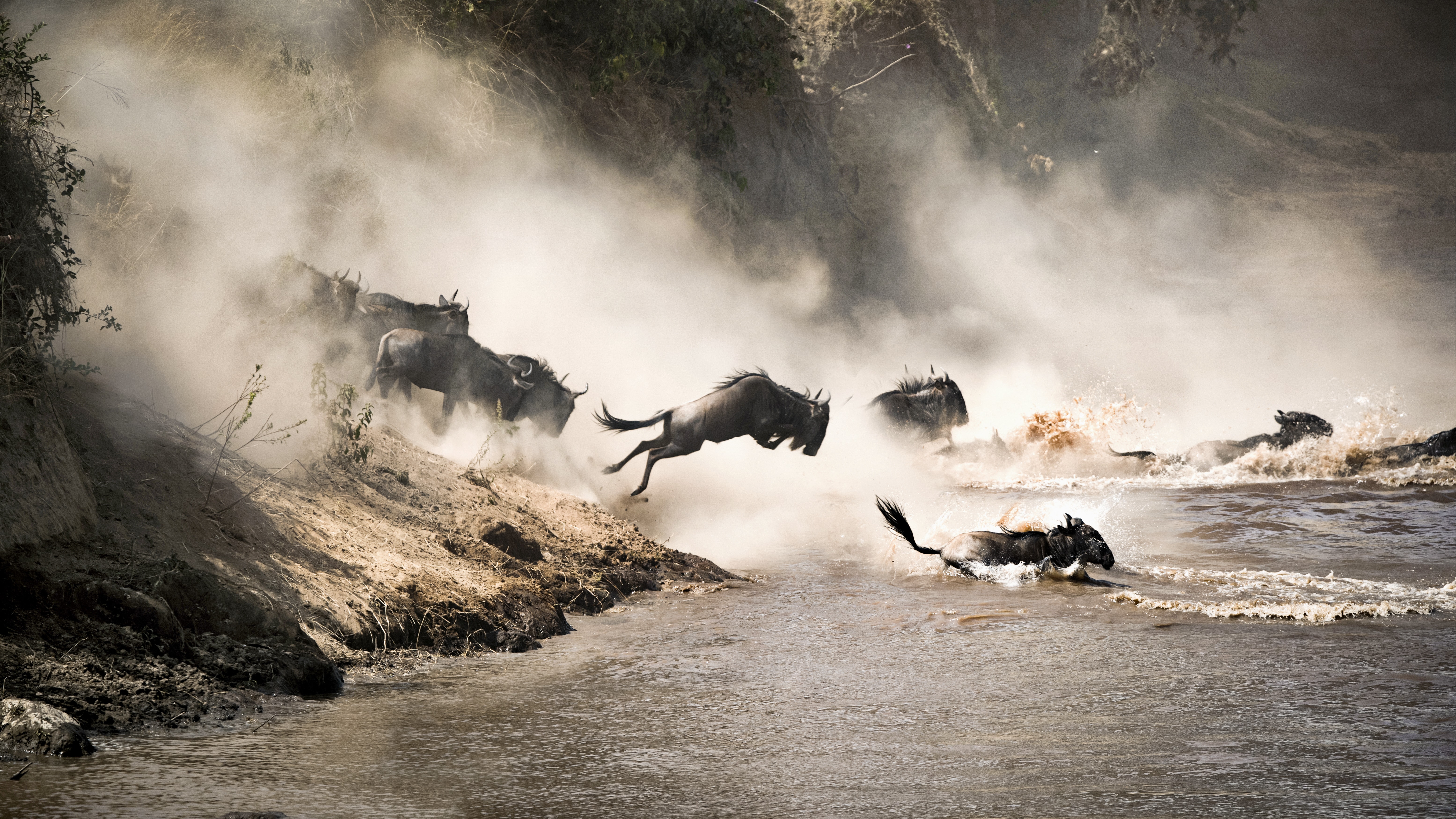 Serengeti Mara River Camp — foto galleria 8