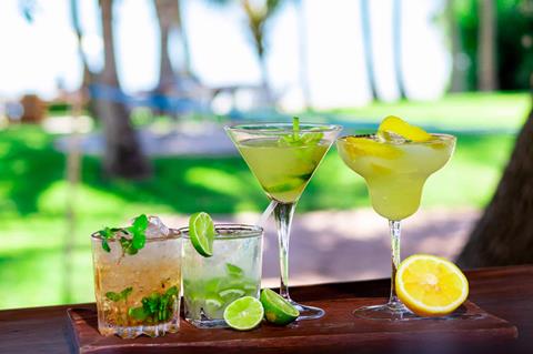 Vilanculos Beach Lodge — foto 4